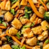 Chicken Stir-Fry